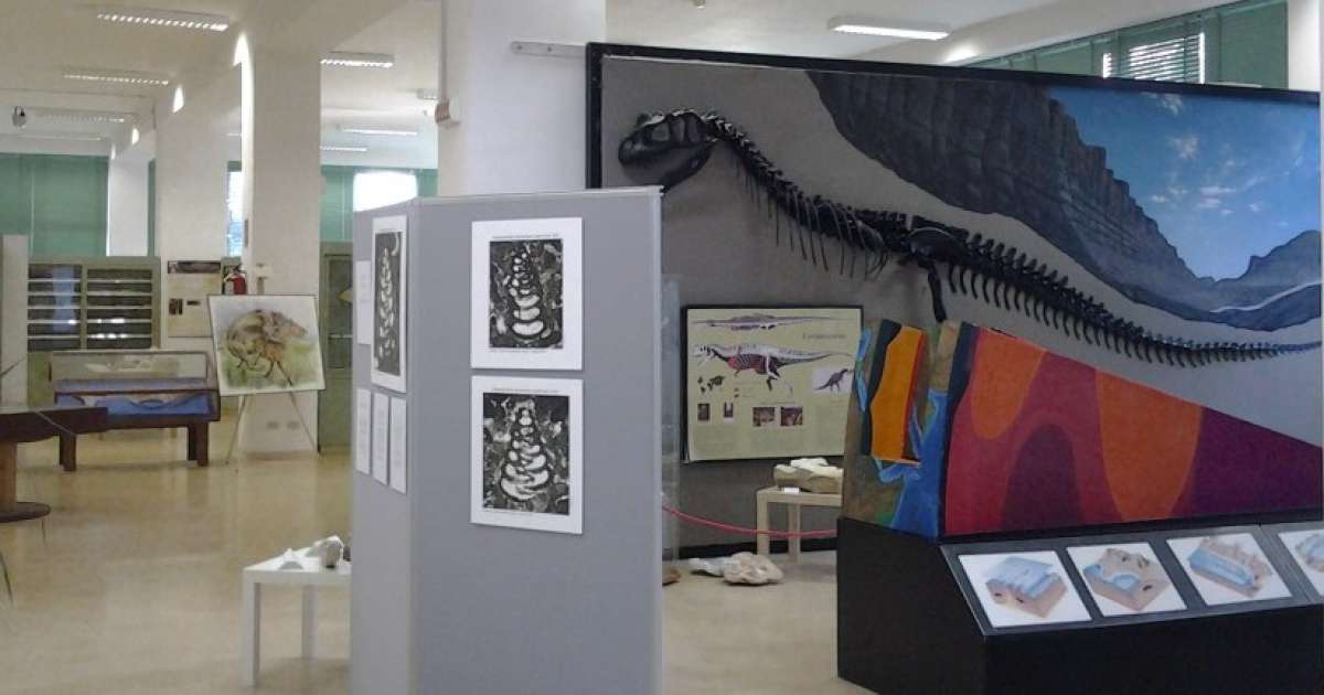 Balene preistoriche, marmi antichi, piante rare: sono i musei del Campus